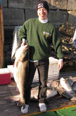 40 pounds