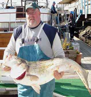 48 Pounds